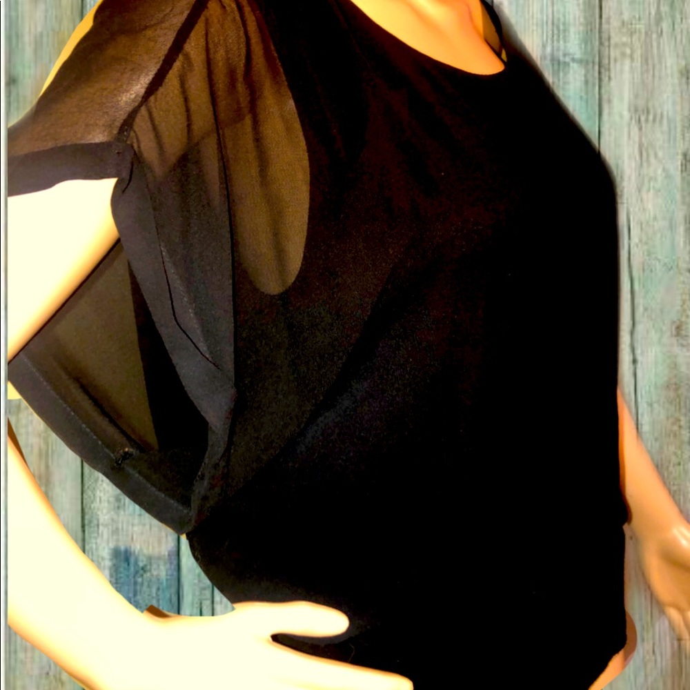 Comfortable Black Chiffon overlay blouse.